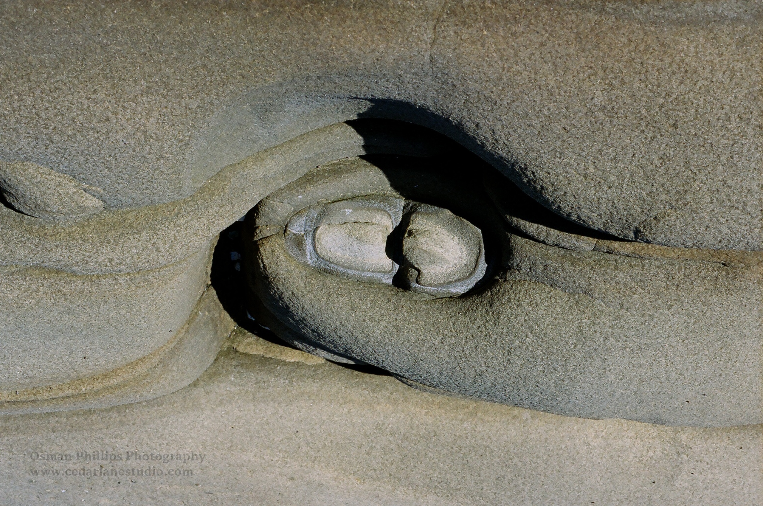 No 8 rotated
